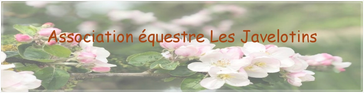 Association équestre Les Javelotins